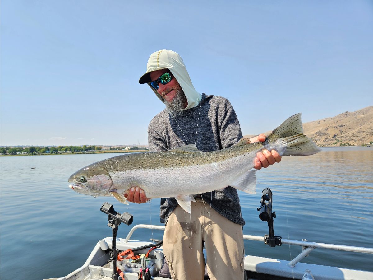 Steelhead catch 2025